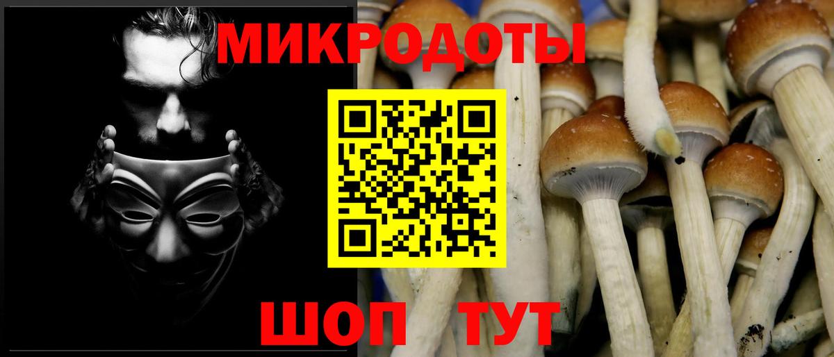 Галлюциногенные грибы прущие грибы  Псилоцибиновые грибы GOLDEN TEACHER  Мыски  Вход с VPN 