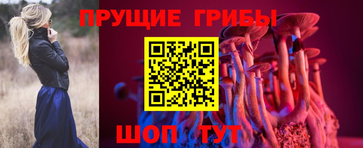  COCAIN Мыски