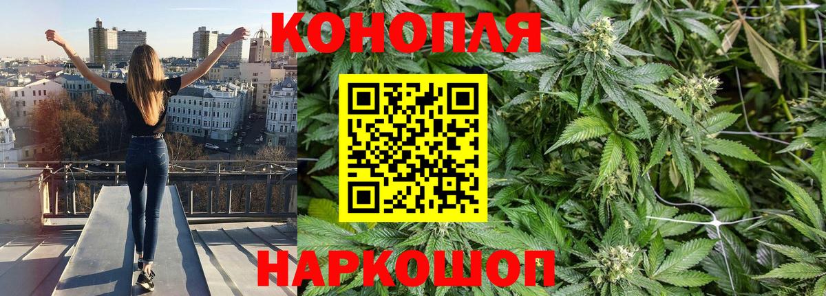 Каннабис Amnesia Мыски